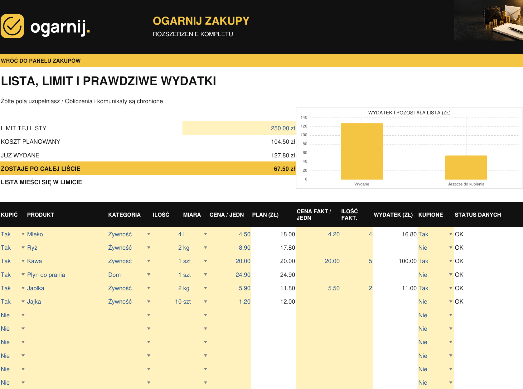 LISTA ZAKUPÓW / rzeczywisty arkusz z danymi przykładowymi